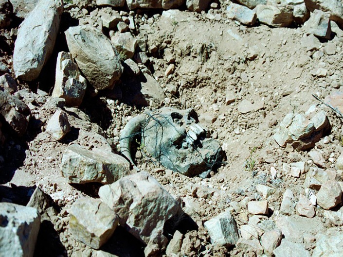 MANDINGA-ELENCO-08-705x529